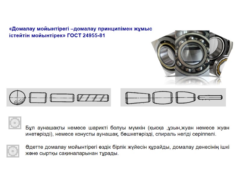 Бұл аунашақты немесе шарикті болуы мүмкін (қысқа ,ұзын,жуан немесе жуан инетәрізді), немесе конусты аунашақ,